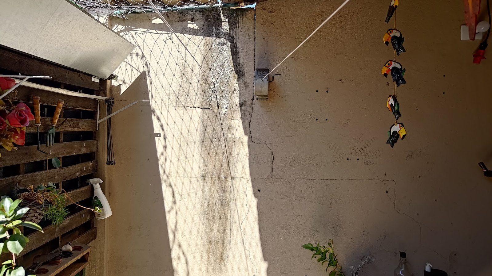 Muro de divisa com desgaste por umidade em Belo Horizonte