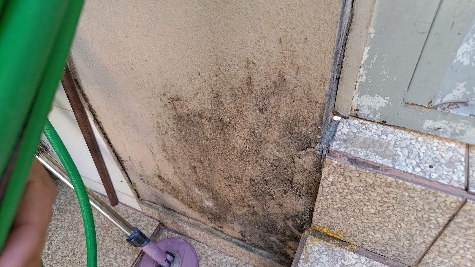 Umidade ascendente com bolor na base da parede em Belo Horizonte